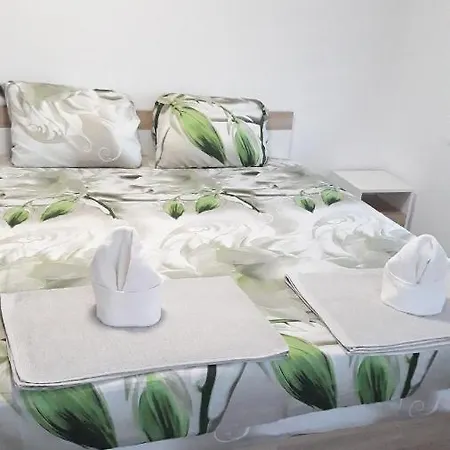 Guest house Briz Apartament *